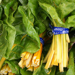 Beta vulgaris golden chard