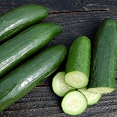 Cucumis sativus green fingers