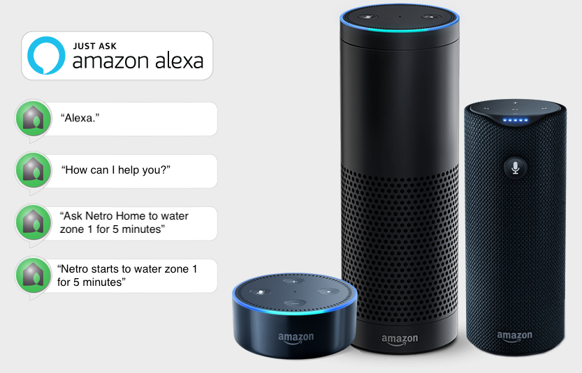 Amazon alexa netro