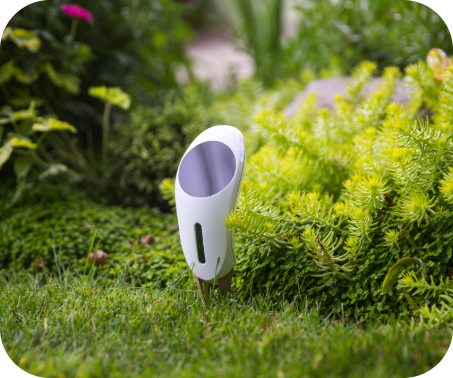 Netro Whisperer gets soil data of your garden.