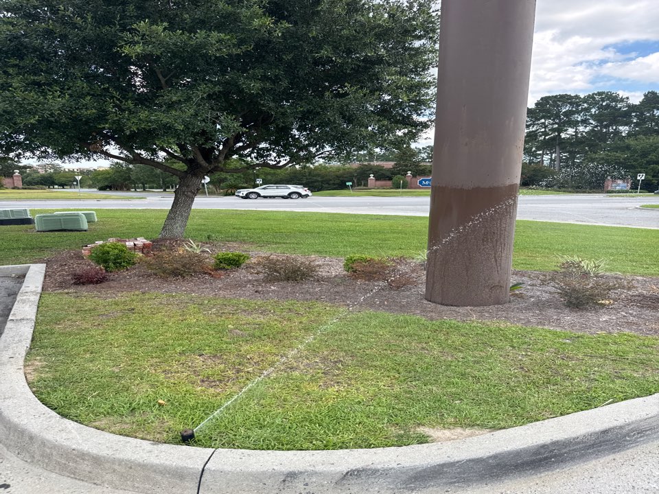 User zone photo