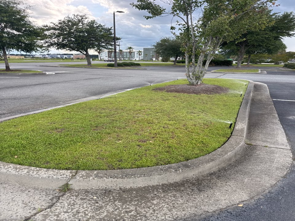 User zone photo