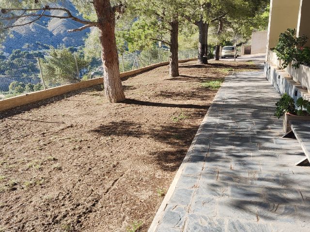 User zone photo